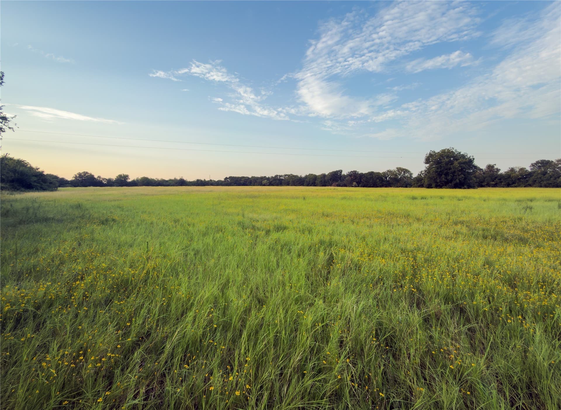 0.26 acres in McLennan County - photo 2
