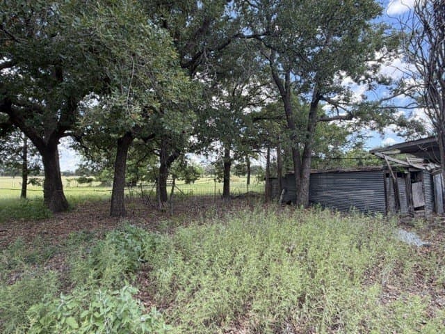 2 acres in Callahan County - photo 13
