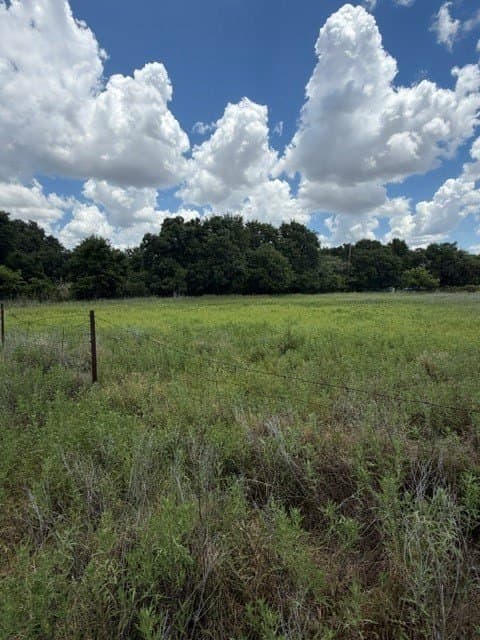 2 acres in Callahan County - photo 19