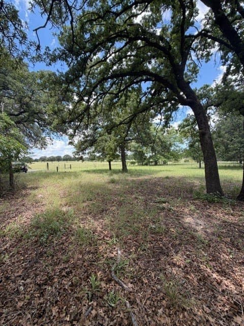 2 acres in Callahan County - photo 8