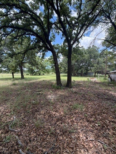 2 acres in Callahan County - photo 10