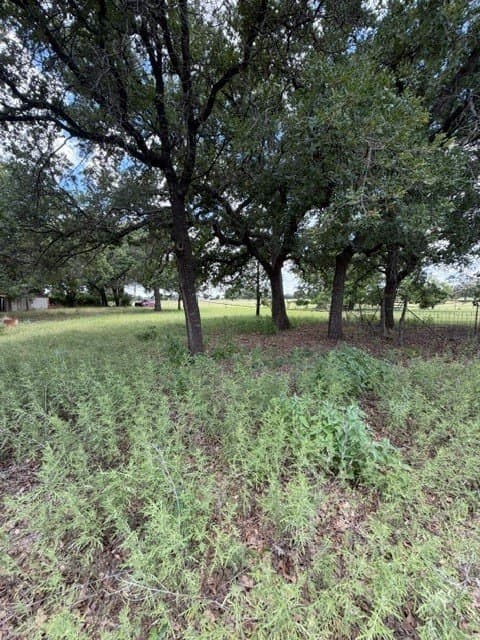 2 acres in Callahan County - photo 14