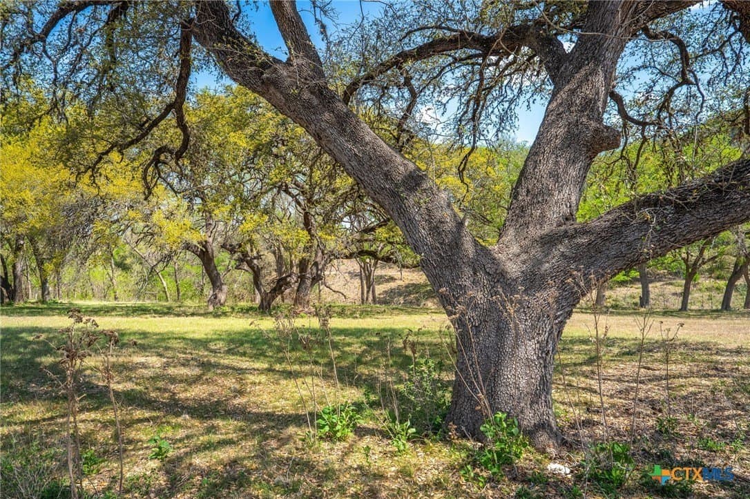 1 acres in Comal County - photo 11