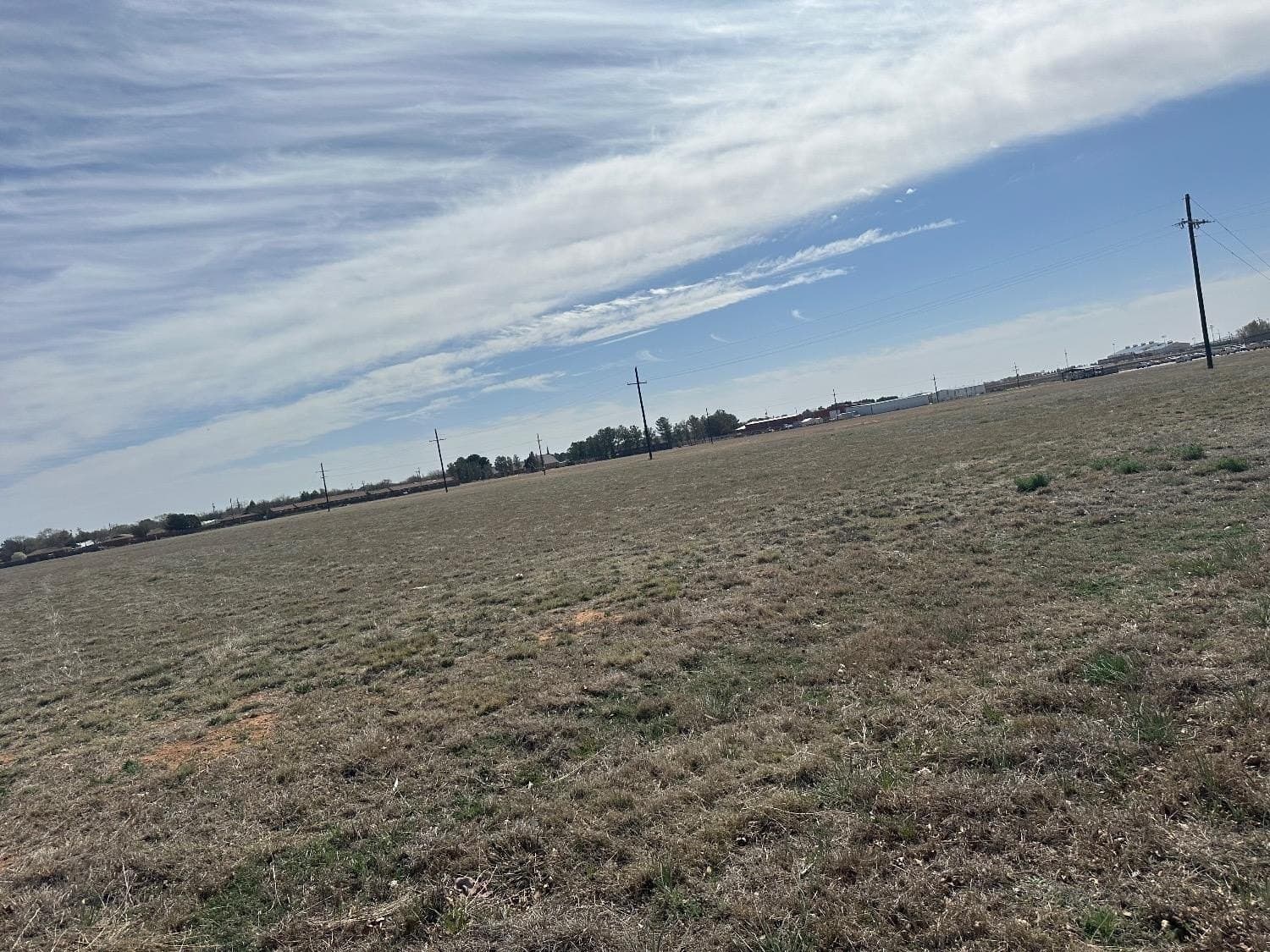 14.87 acres in Hockley County gallery image 3