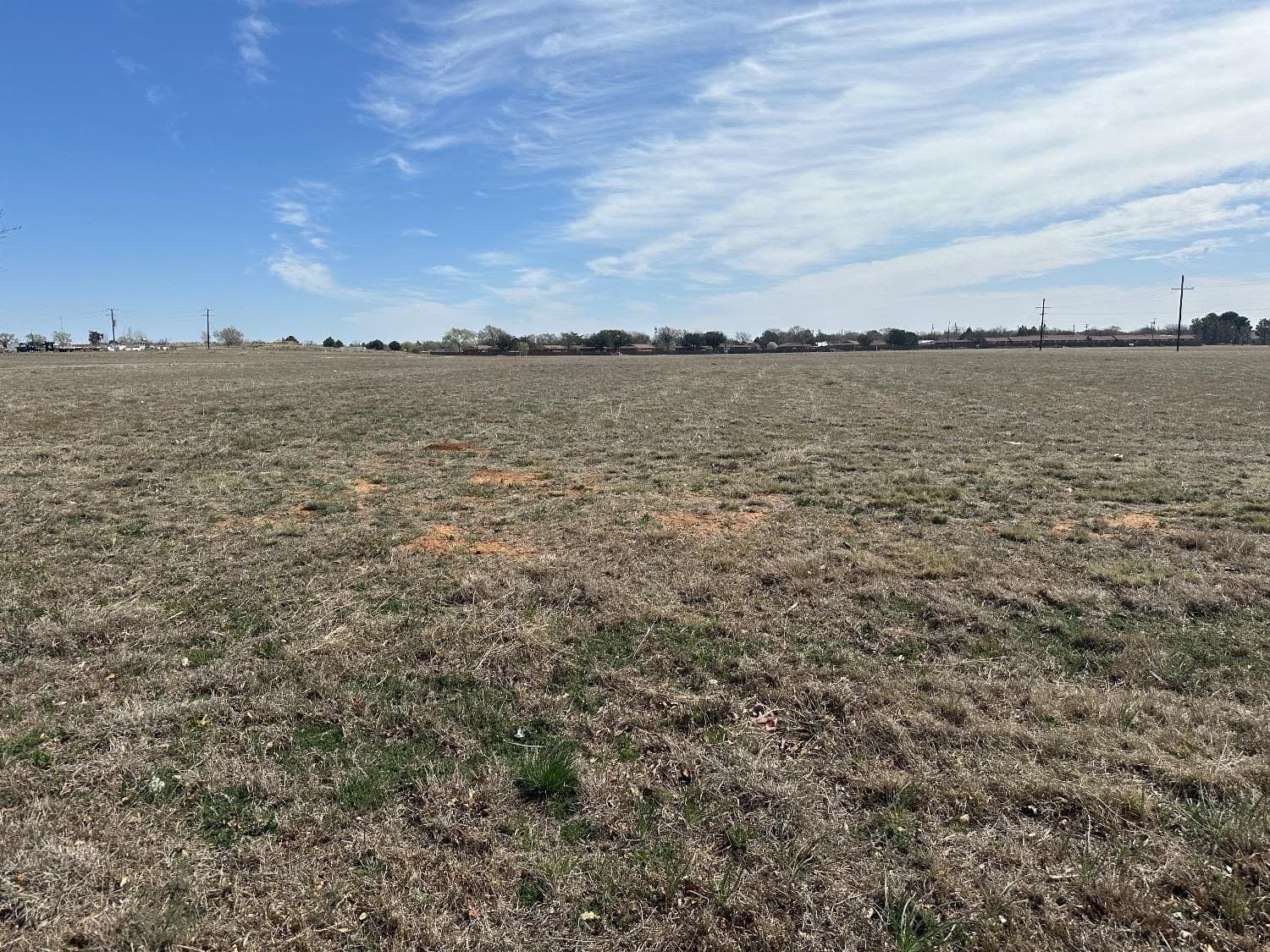 14.87 acres in Hockley County gallery image 4