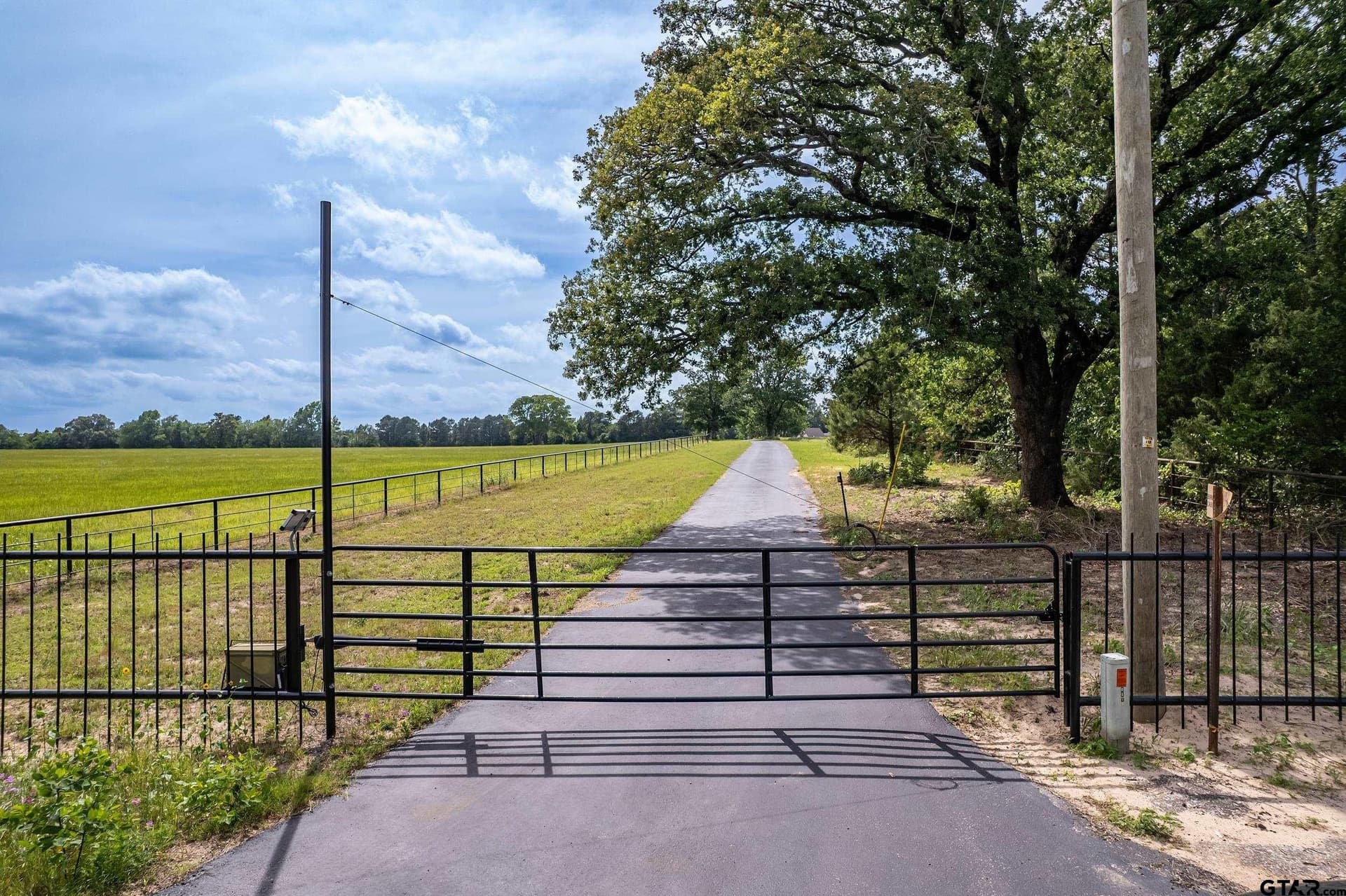 106.59 acres in Smith County gallery image 3