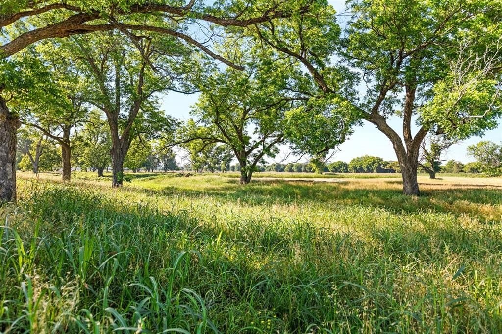 32.07 acres in Bosque County gallery image 4