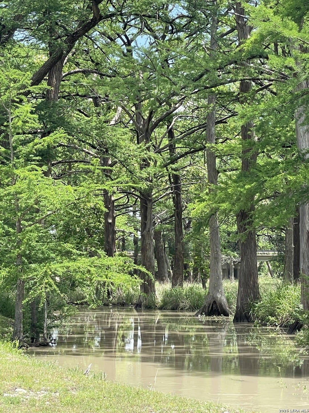 5.04 acres in Kerr County gallery image 4