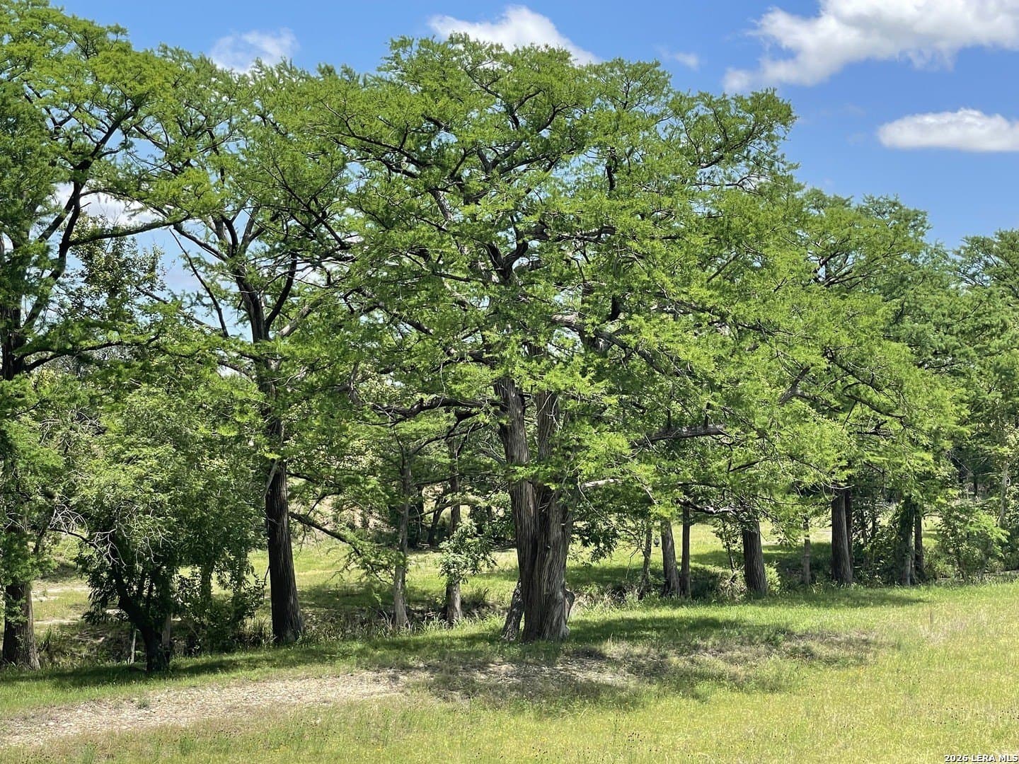 5.04 acres in Kerr County - photo 23