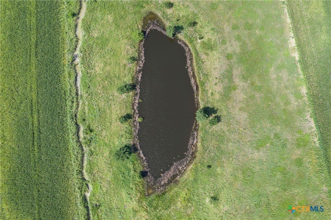 151 acres in Travis County - photo 15