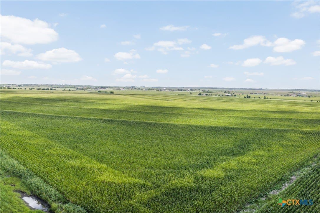151 acres in Travis County - photo 9