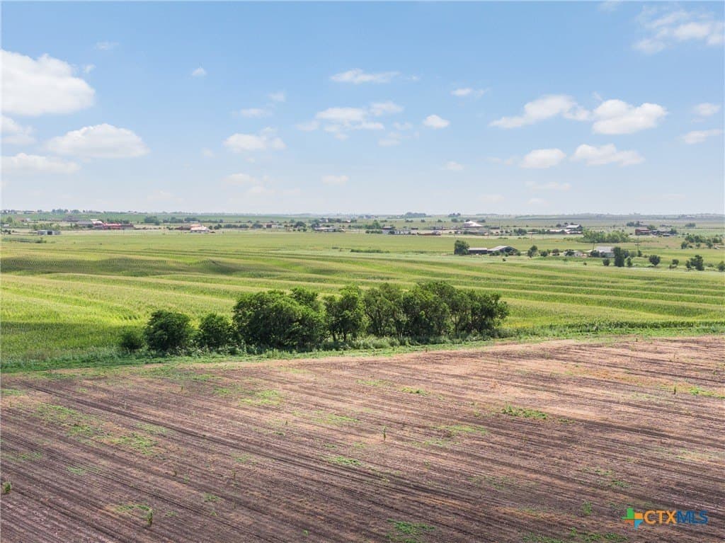 151 acres in Travis County - photo 8