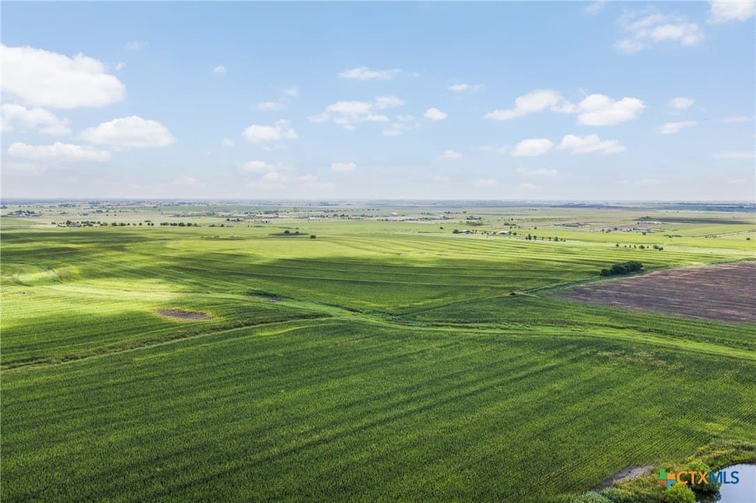 151 acres in Travis County - photo 10