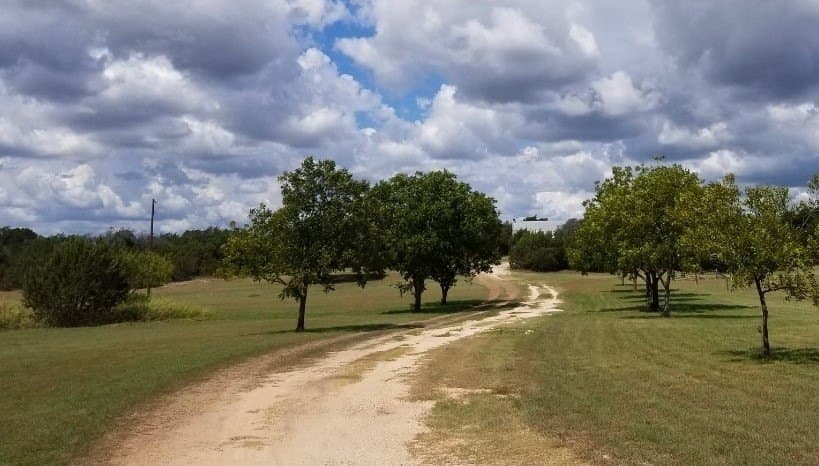 20.83 acres in Bosque County - photo 2