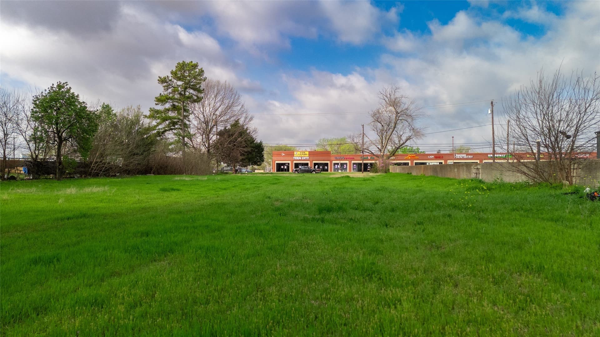 1 acres in Dallas County - photo 15