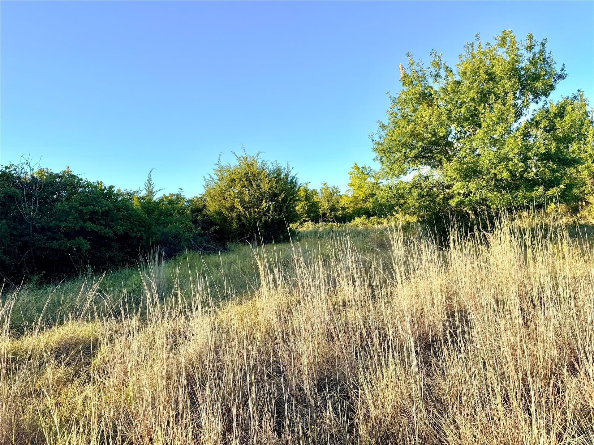 11.02 acres in Mills County - photo 33