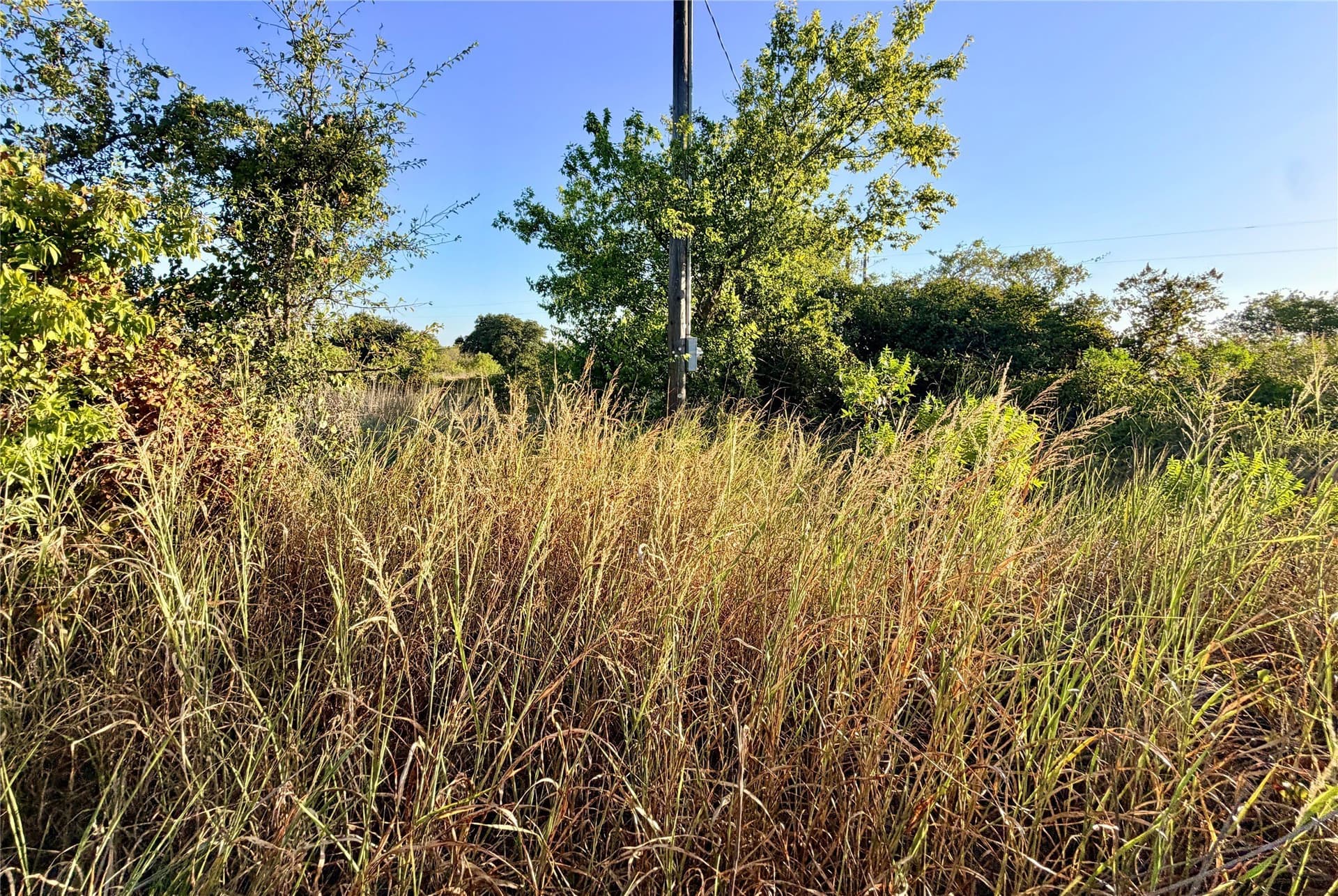 11.02 acres in Mills County - photo 8