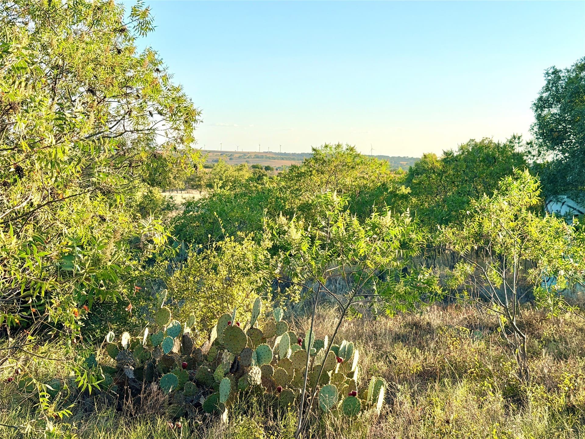 11.02 acres in Mills County - photo 31