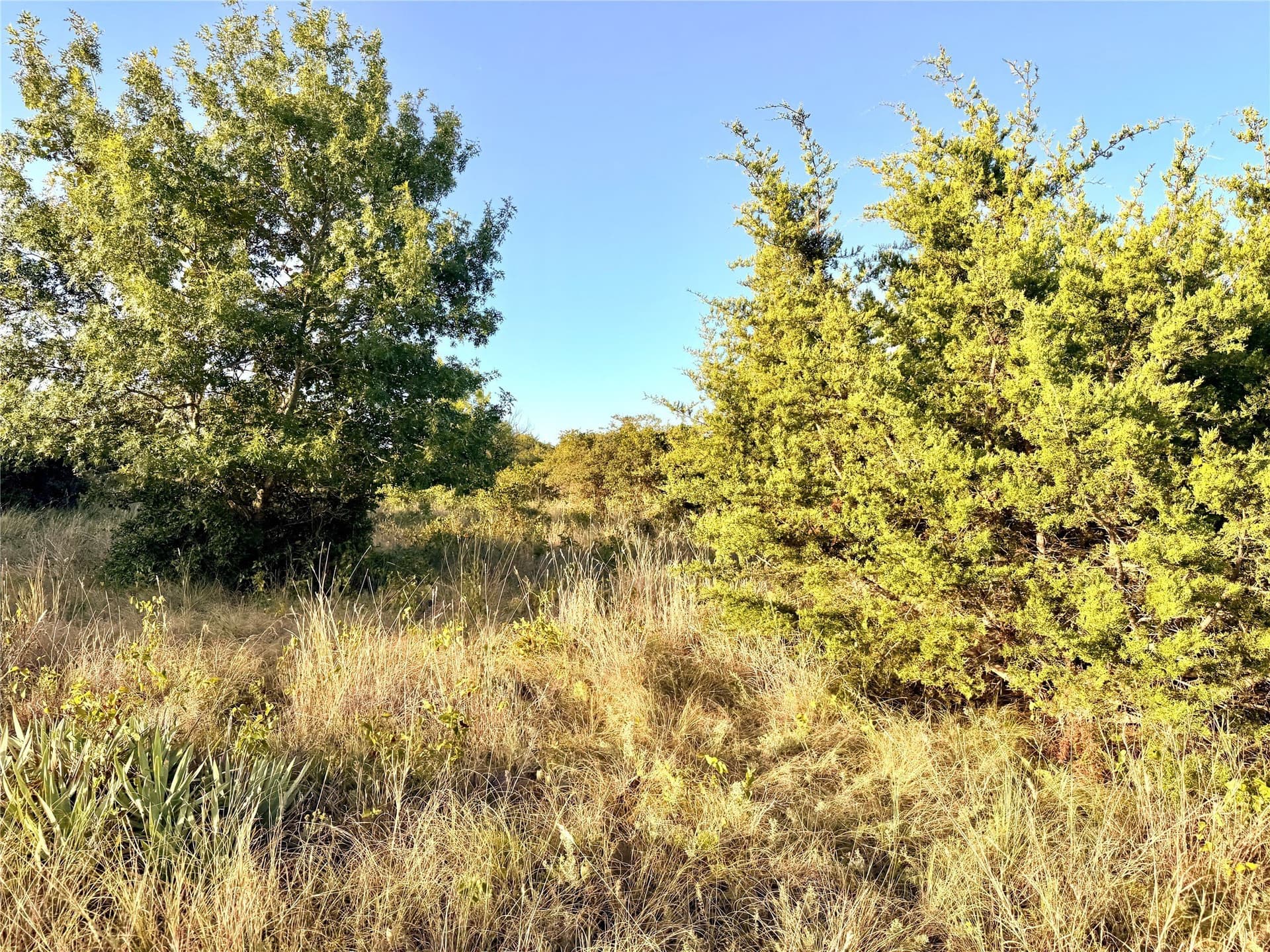 11.02 acres in Mills County - photo 32