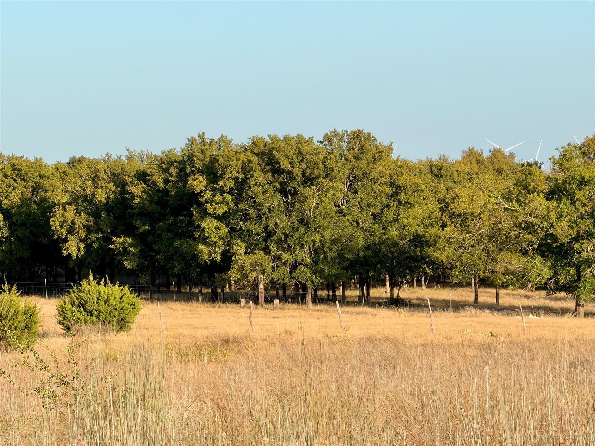 11.02 acres in Mills County - photo 16