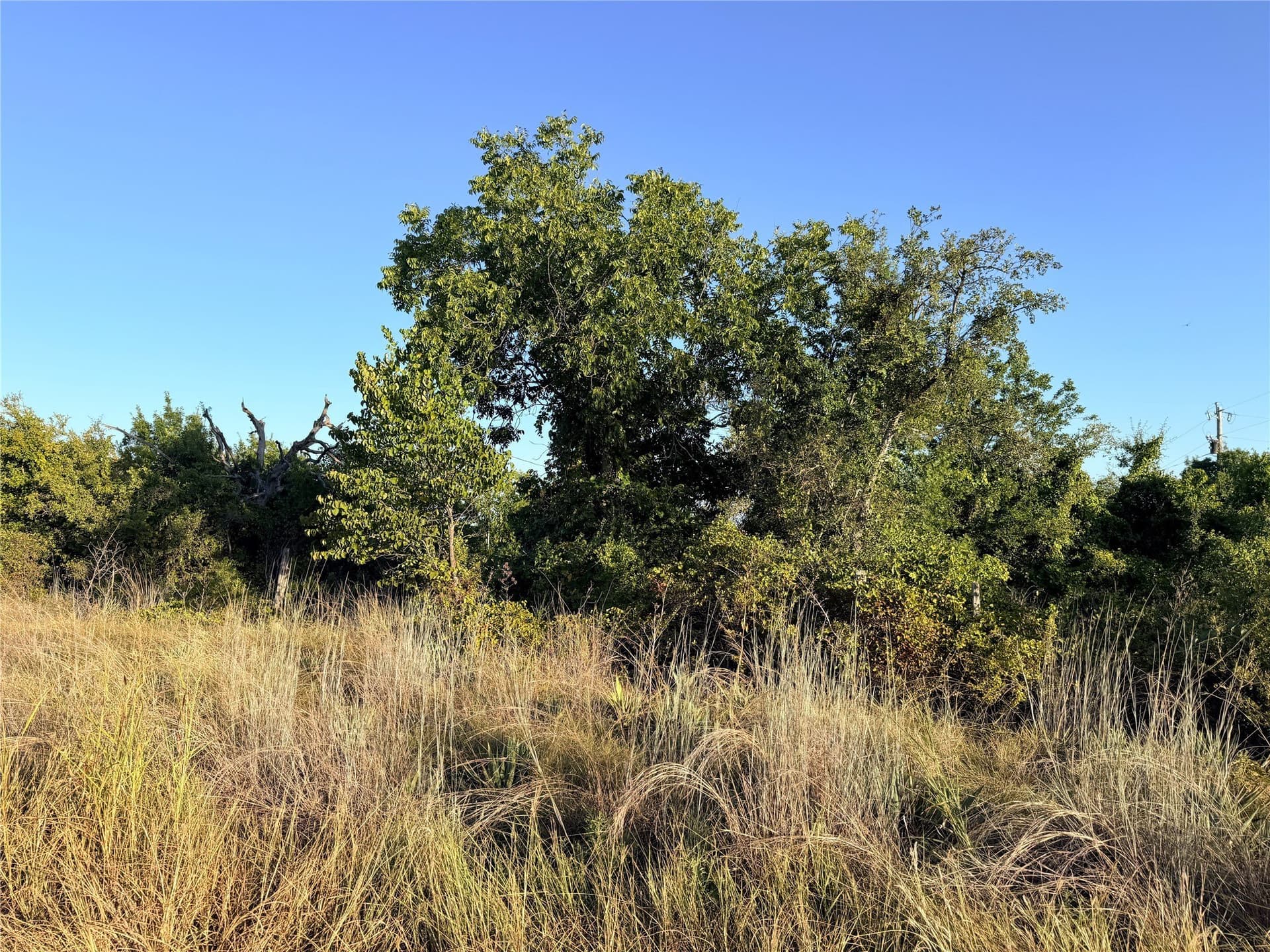 11.02 acres in Mills County - photo 6