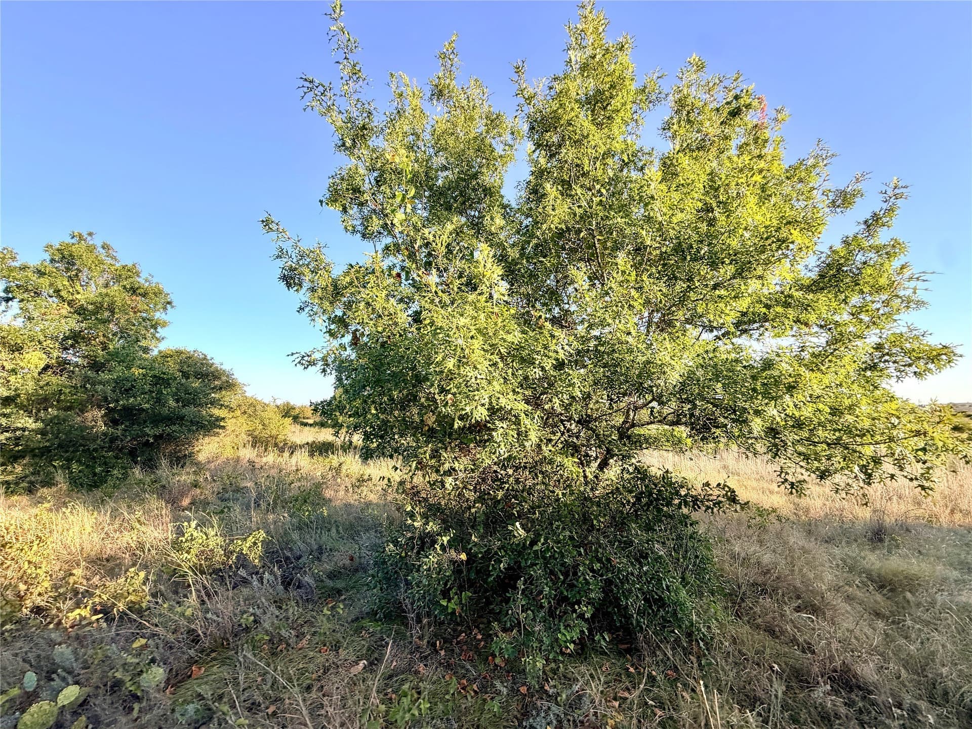 11.02 acres in Mills County - photo 23