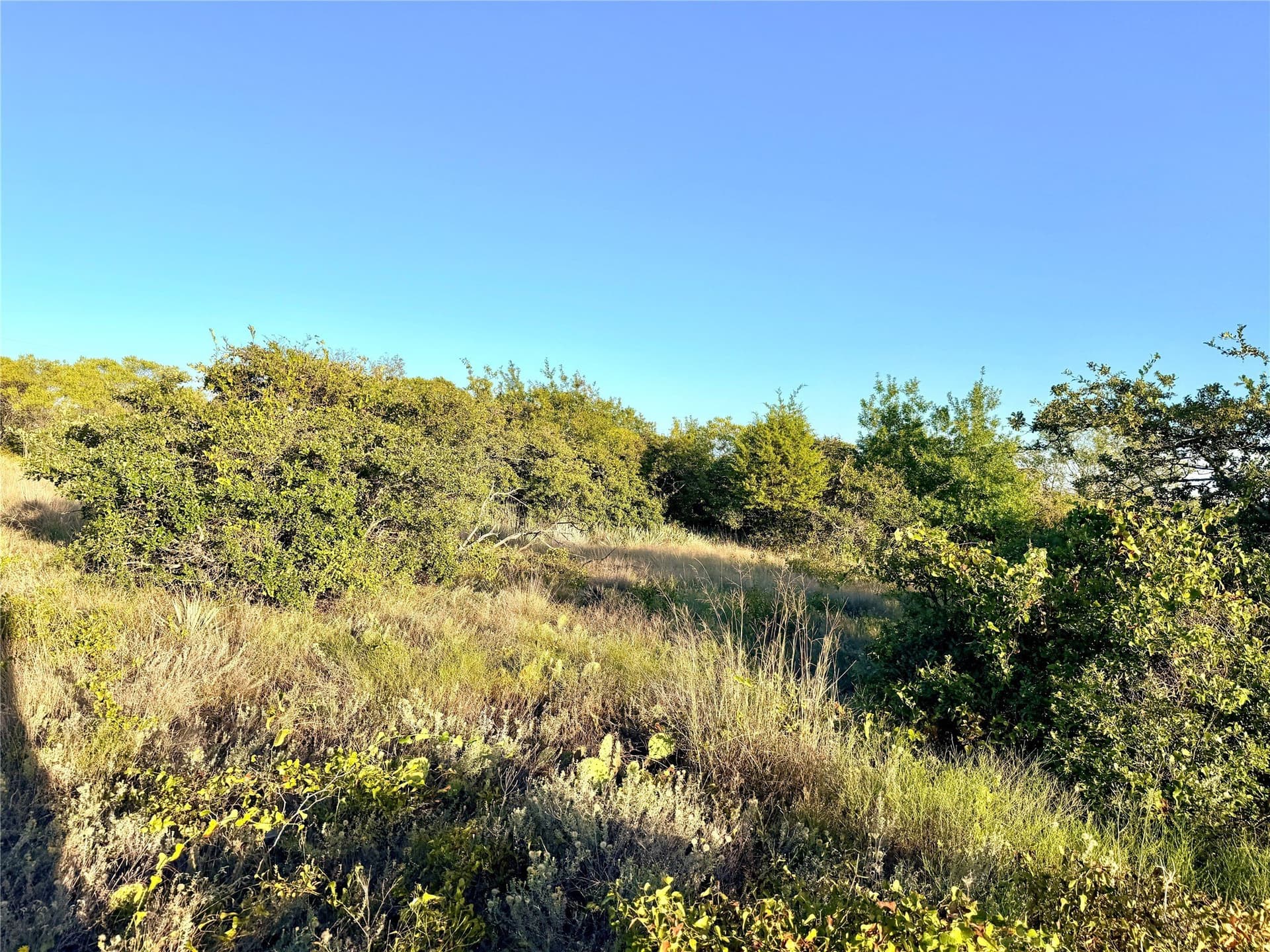 11.02 acres in Mills County - photo 29
