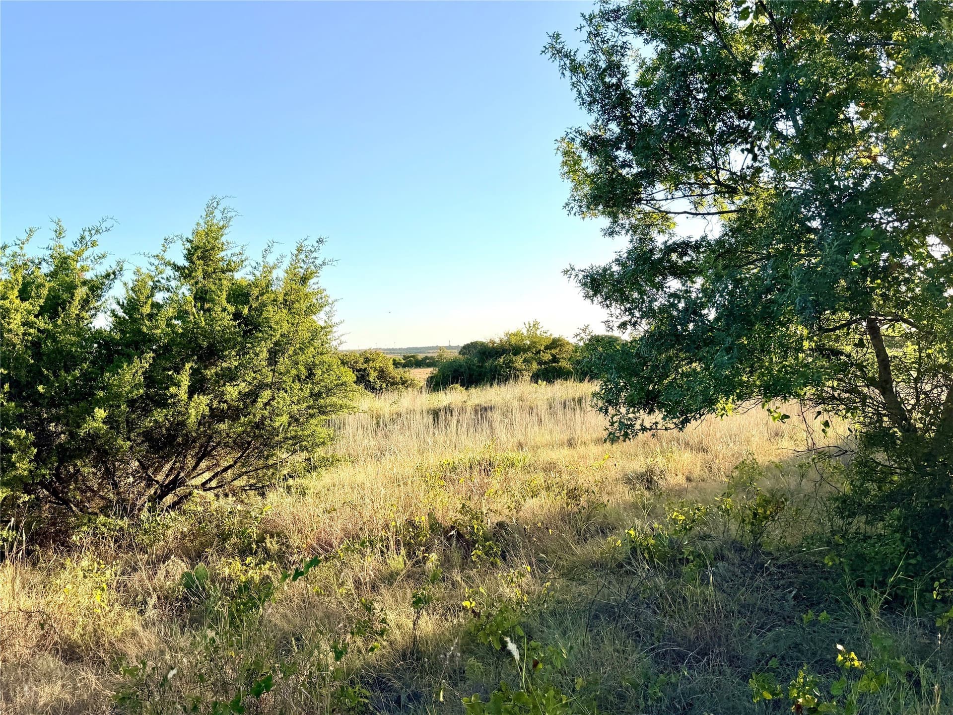 11.02 acres in Mills County - photo 13