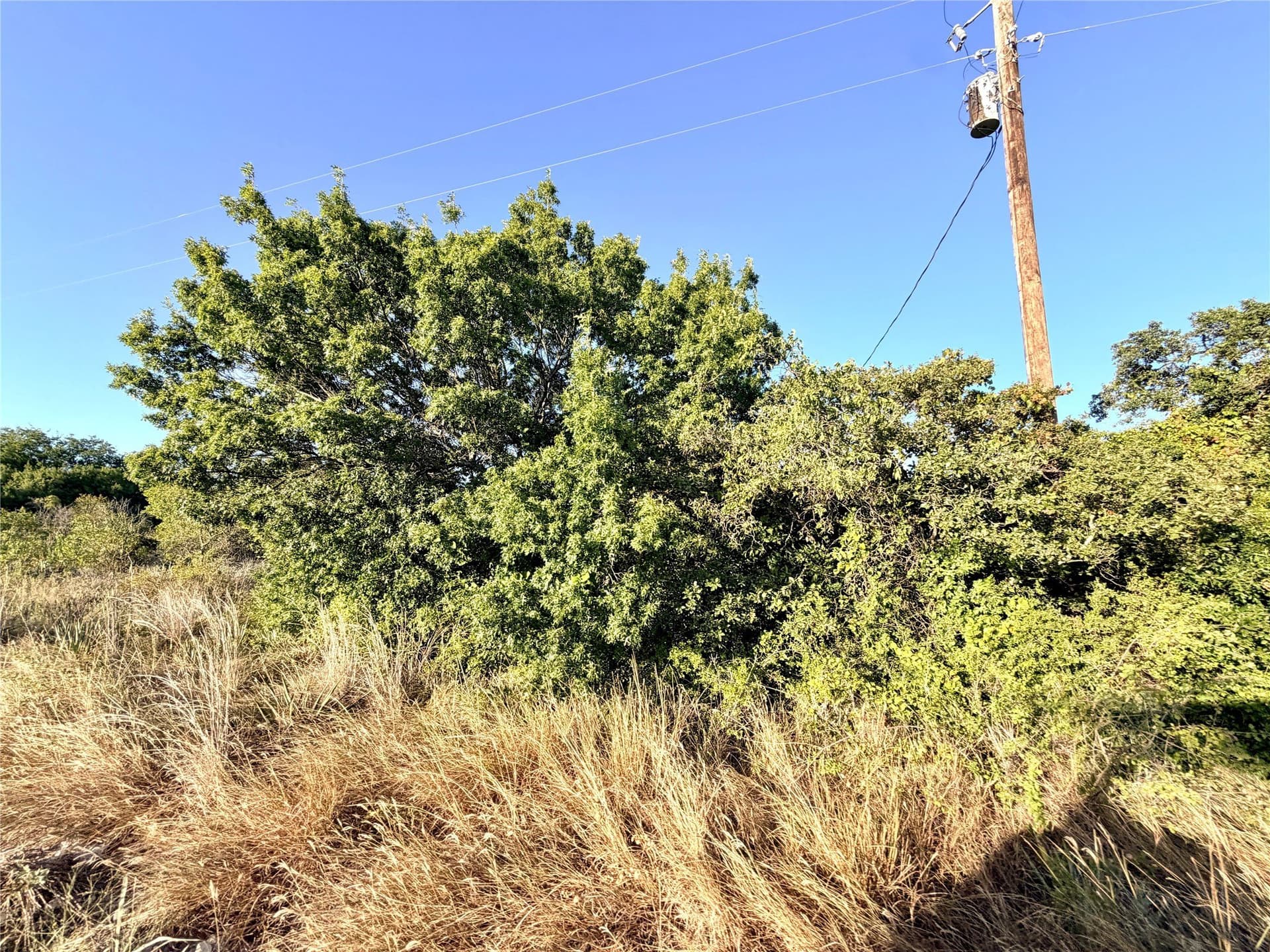 11.02 acres in Mills County - photo 14