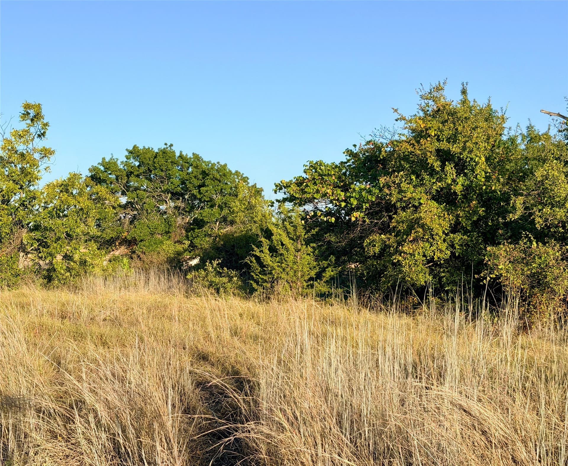 11.02 acres in Mills County - photo 15