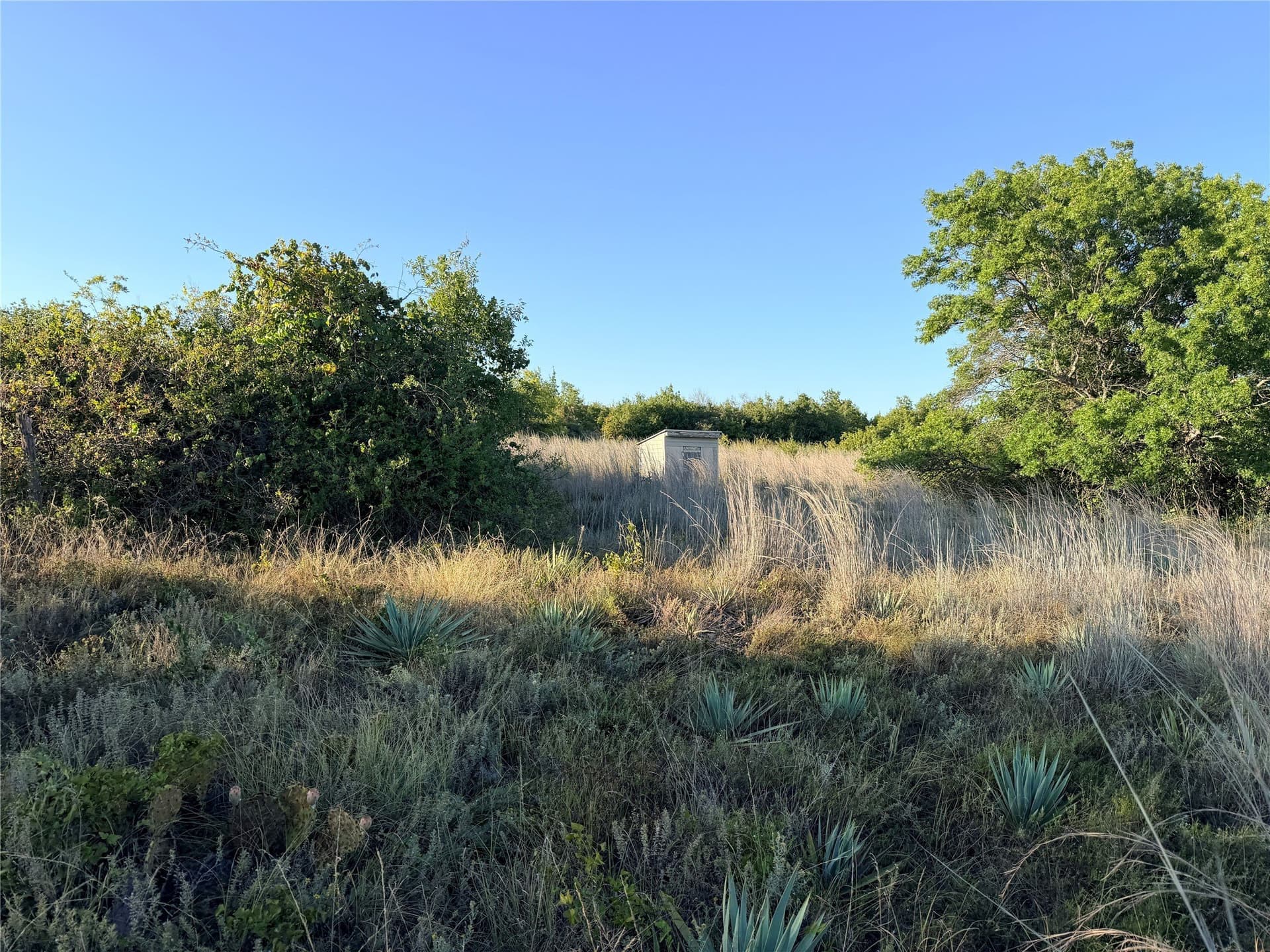 11.02 acres in Mills County - photo 7
