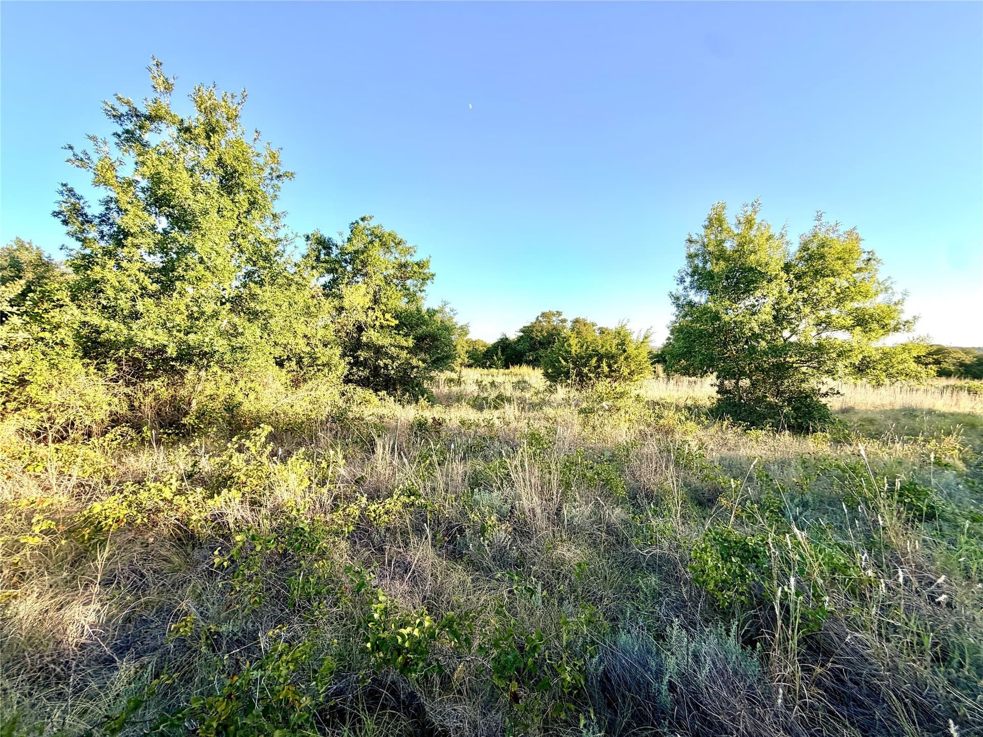 11.02 acres in Mills County - photo 2