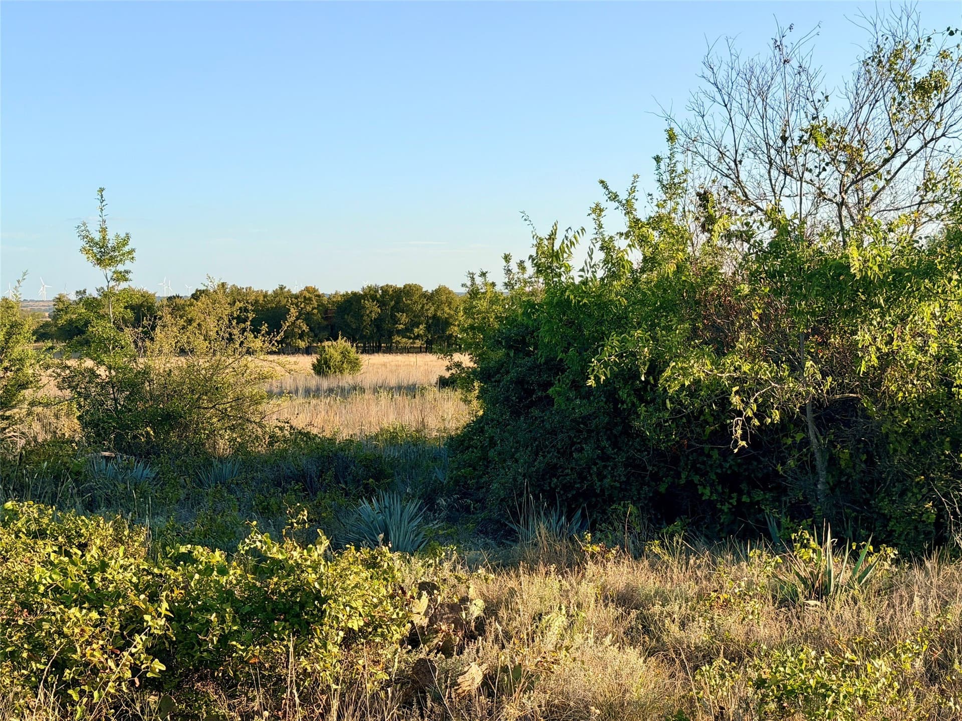 11.02 acres in Mills County - photo 3