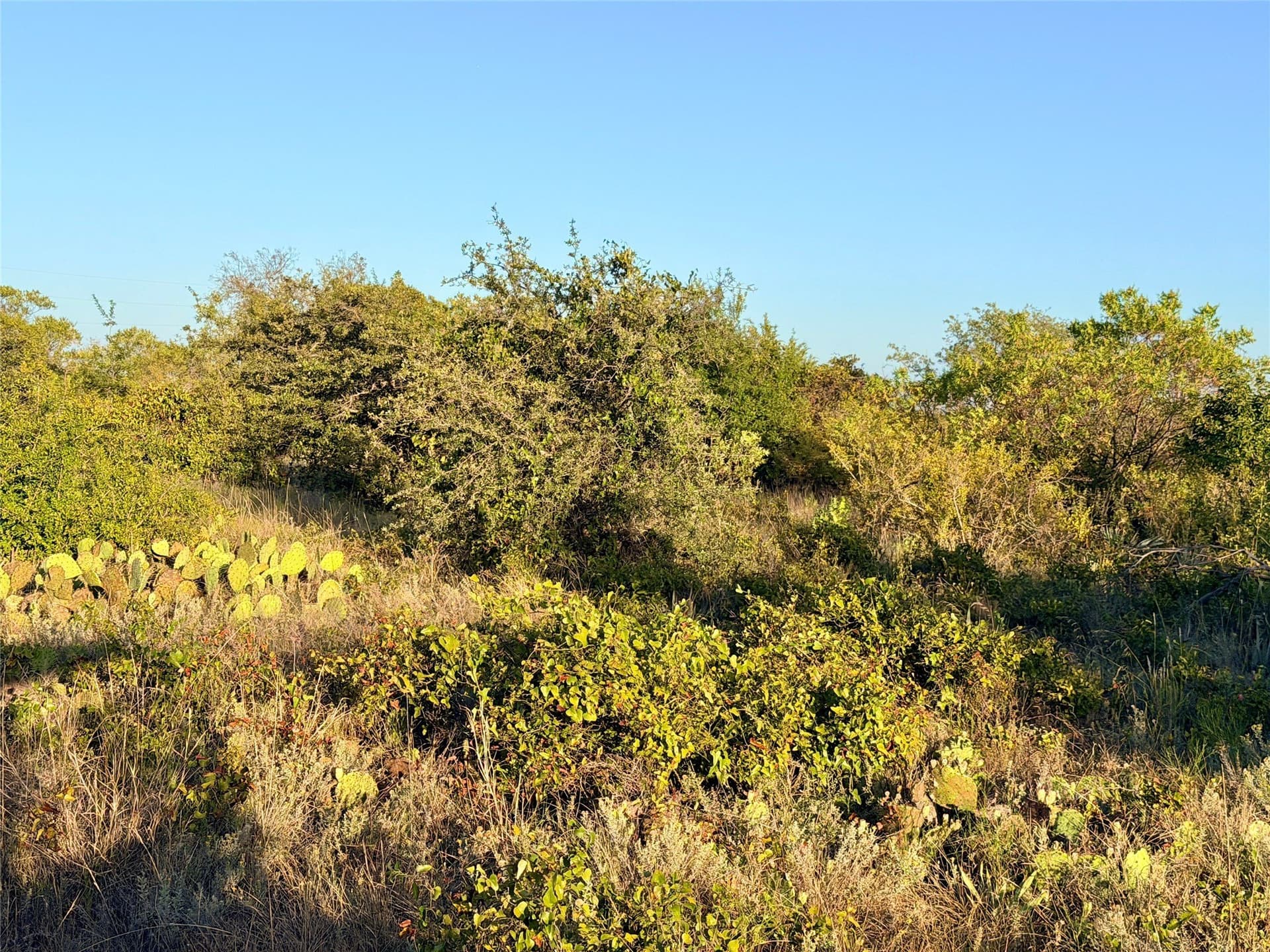11.02 acres in Mills County - photo 28