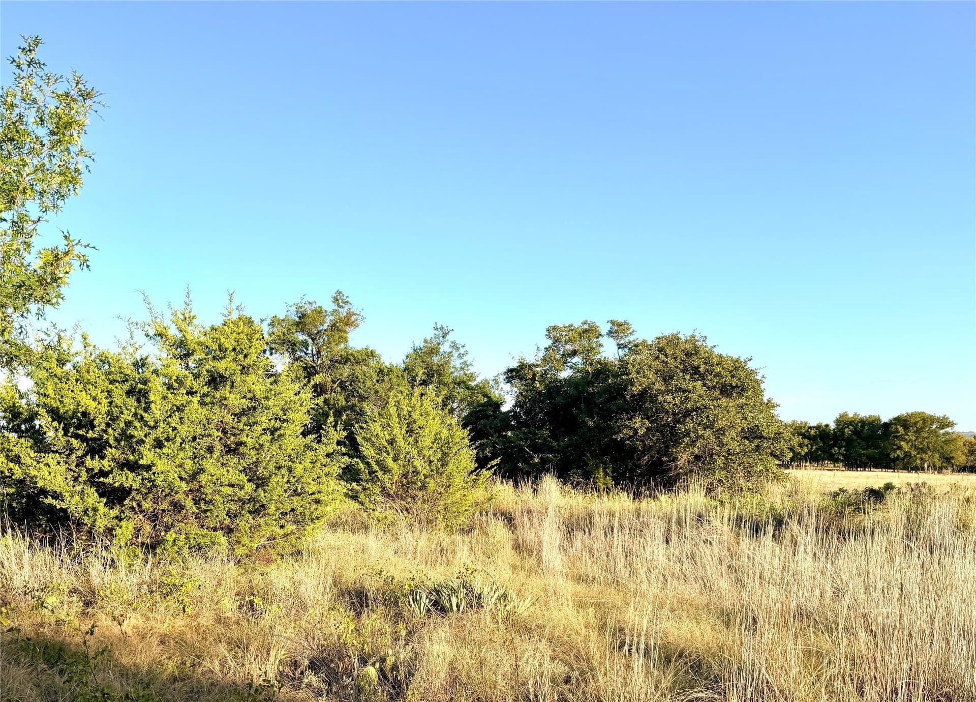 11.02 acres in Mills County - photo 22