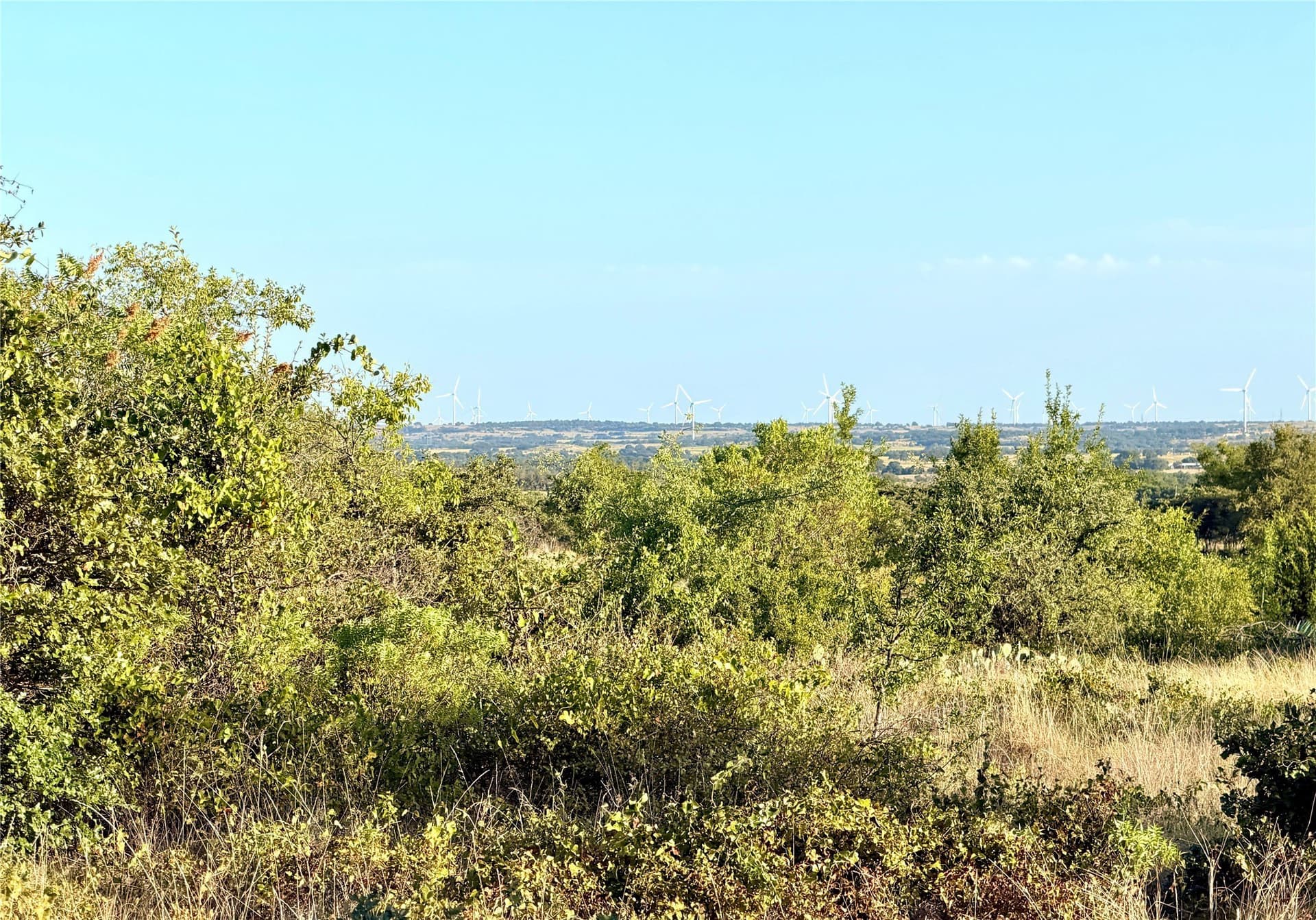 11.02 acres in Mills County - photo 21