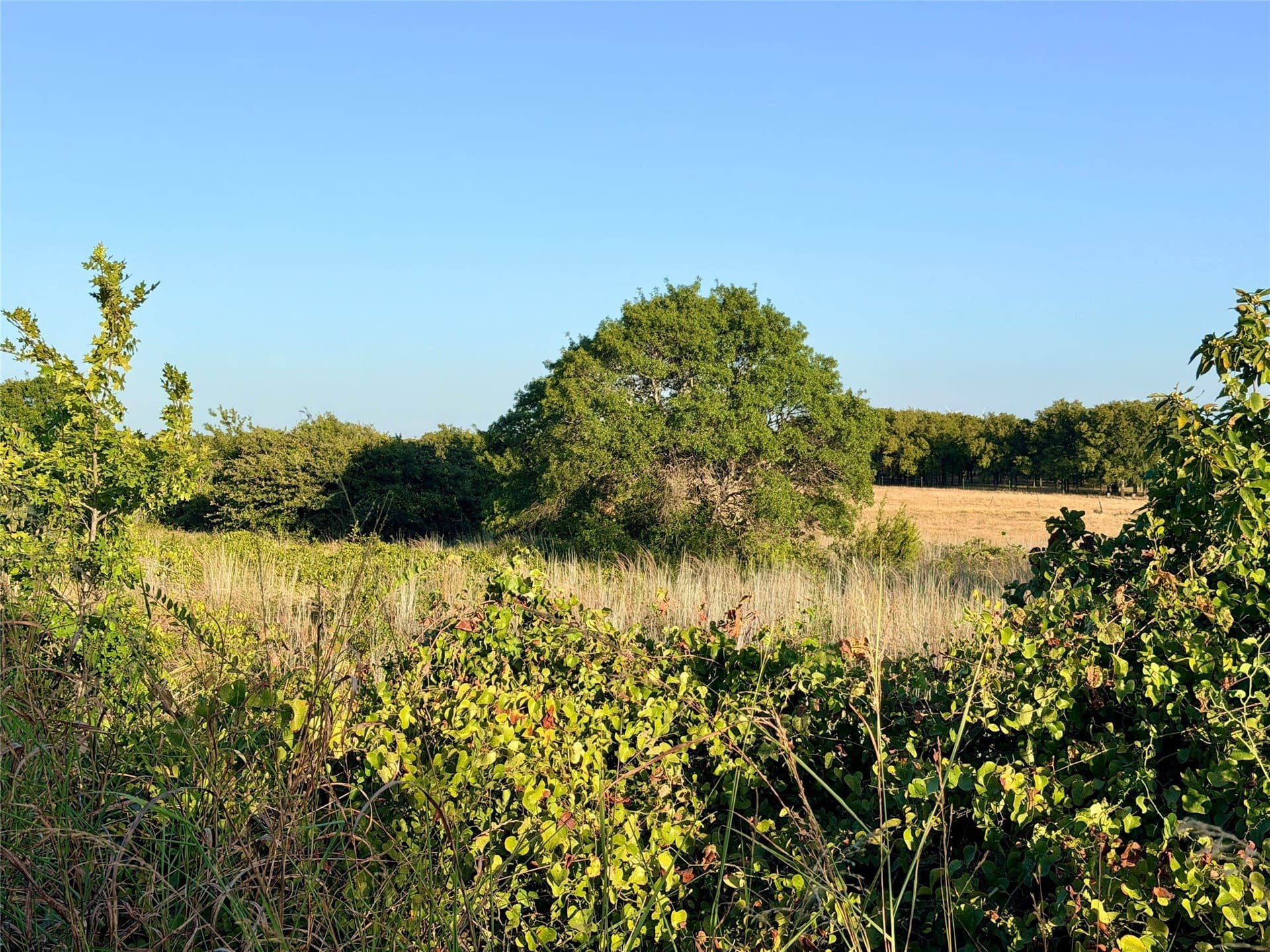 11.02 acres in Mills County - photo 20