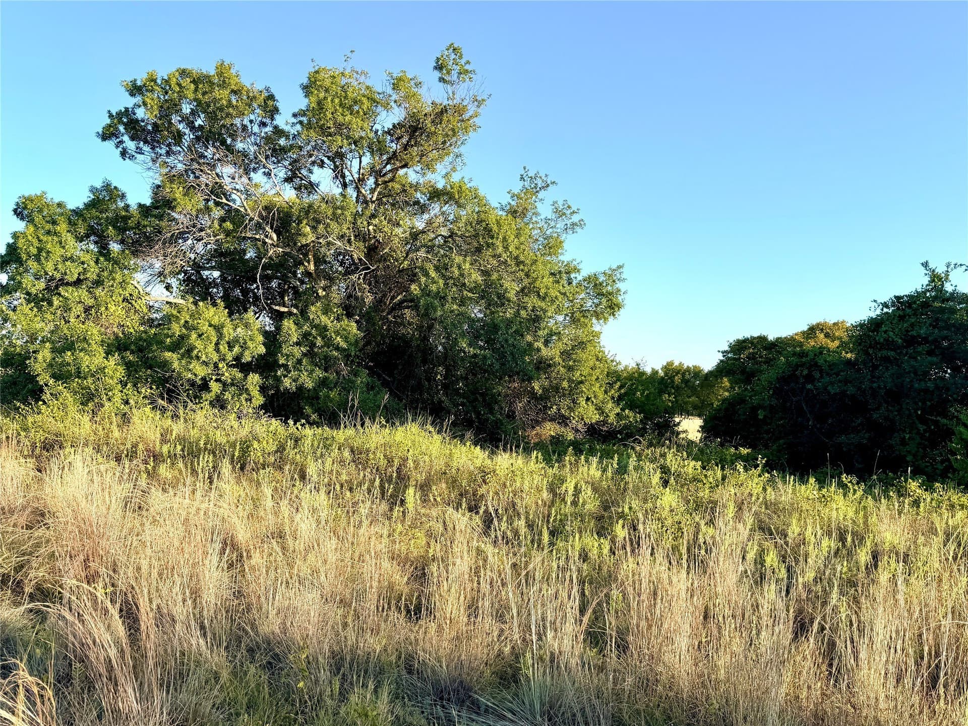 11.02 acres in Mills County - photo 26