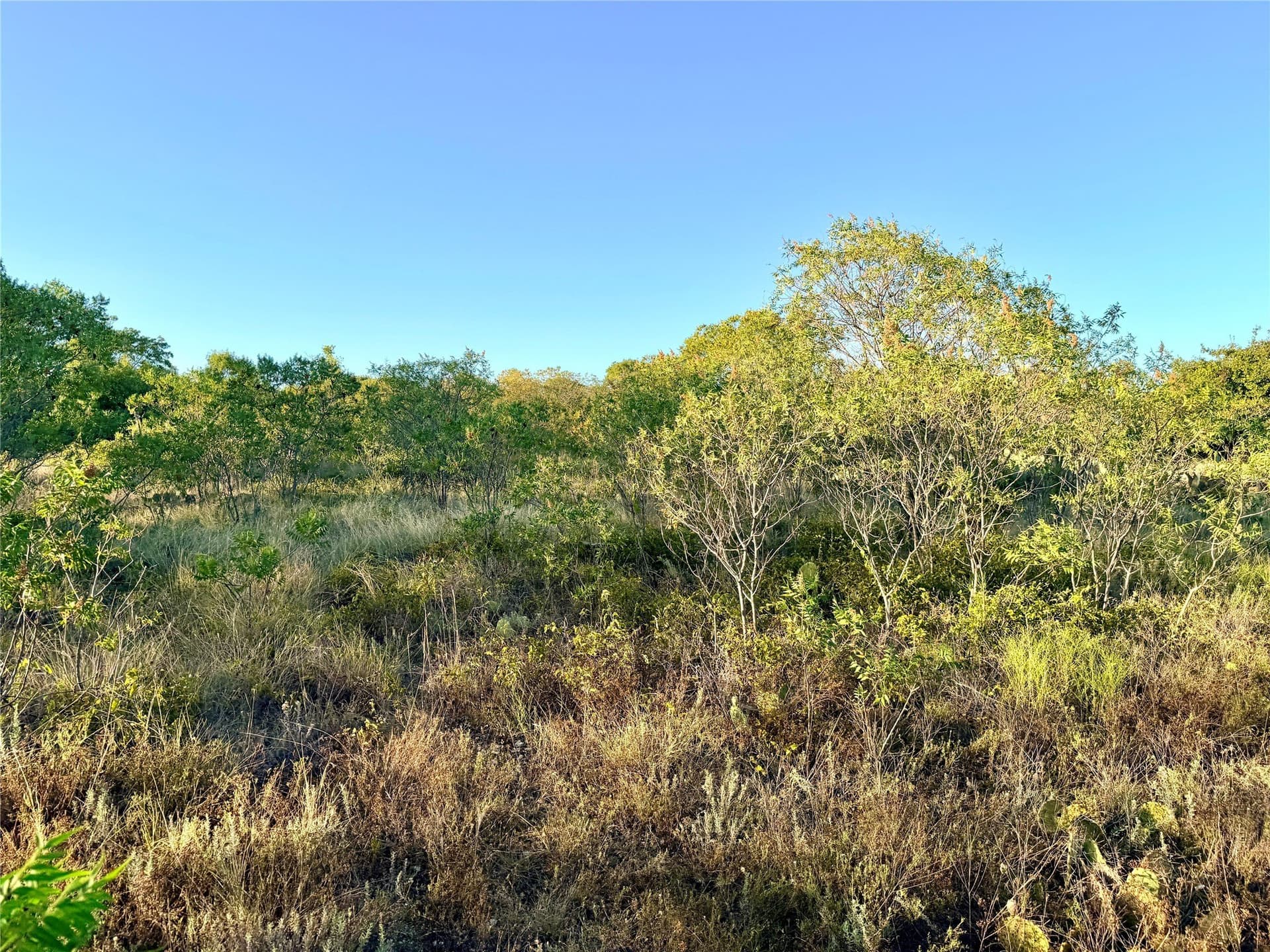 11.02 acres in Mills County - photo 30