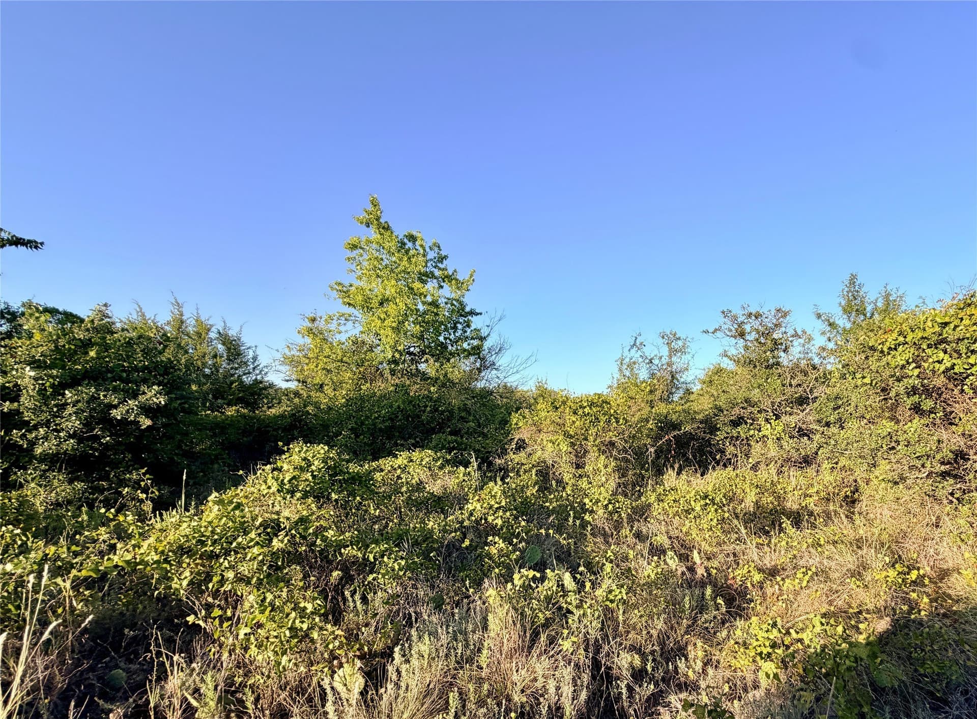 11.02 acres in Mills County - photo 24