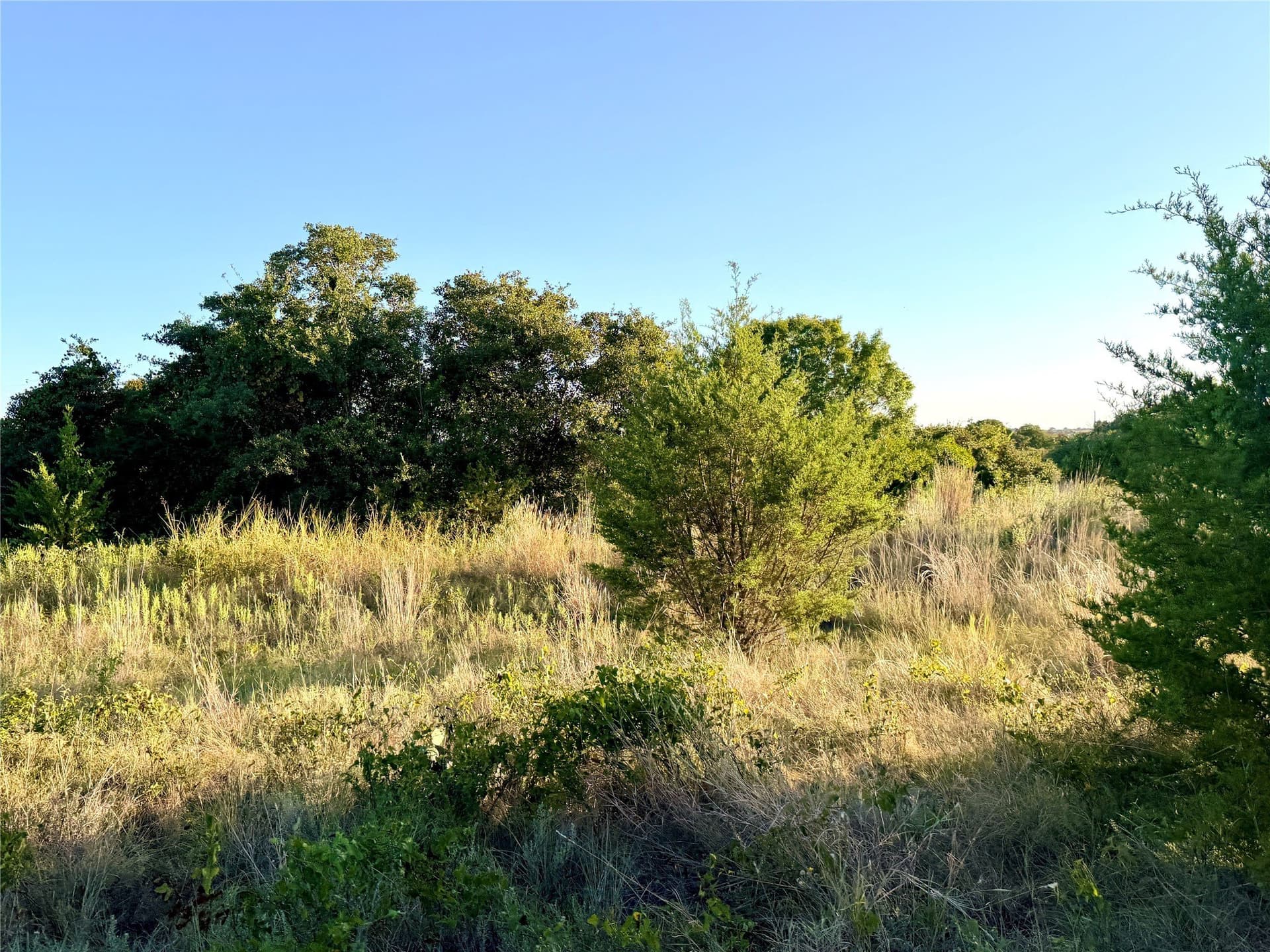 11.02 acres in Mills County - photo 25