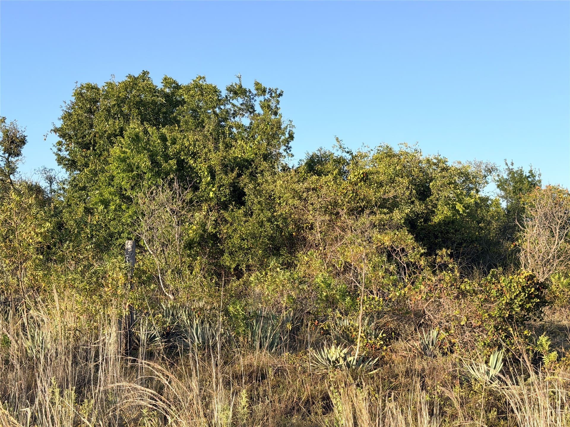 11.02 acres in Mills County - photo 5