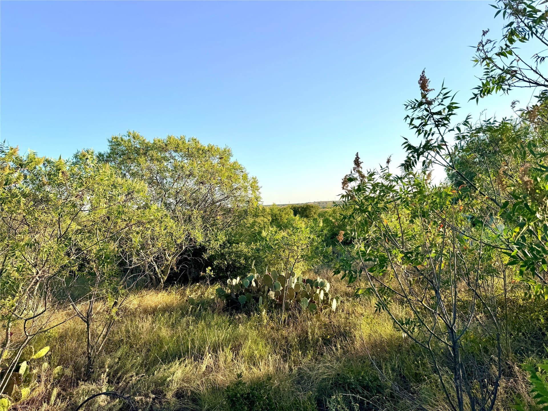 11.02 acres in Mills County - photo 4