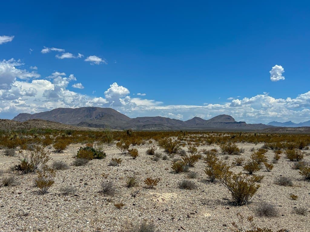 5 acres in Brewster County - photo 14