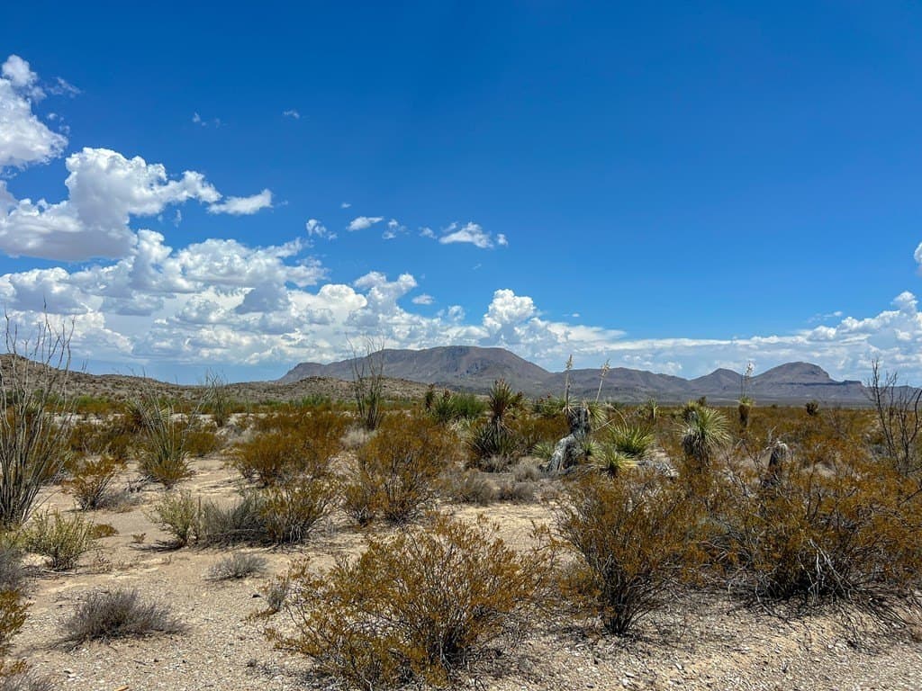 5 acres in Brewster County - photo 11