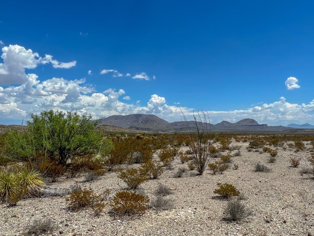 5 acres in Brewster County - photo 7