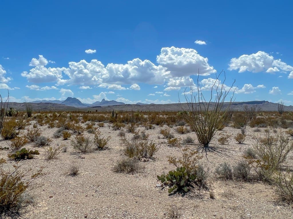 5 acres in Brewster County - photo 12