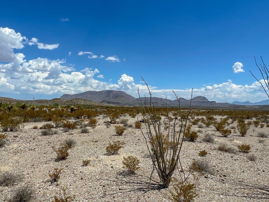 5 acres in Brewster County - photo 10