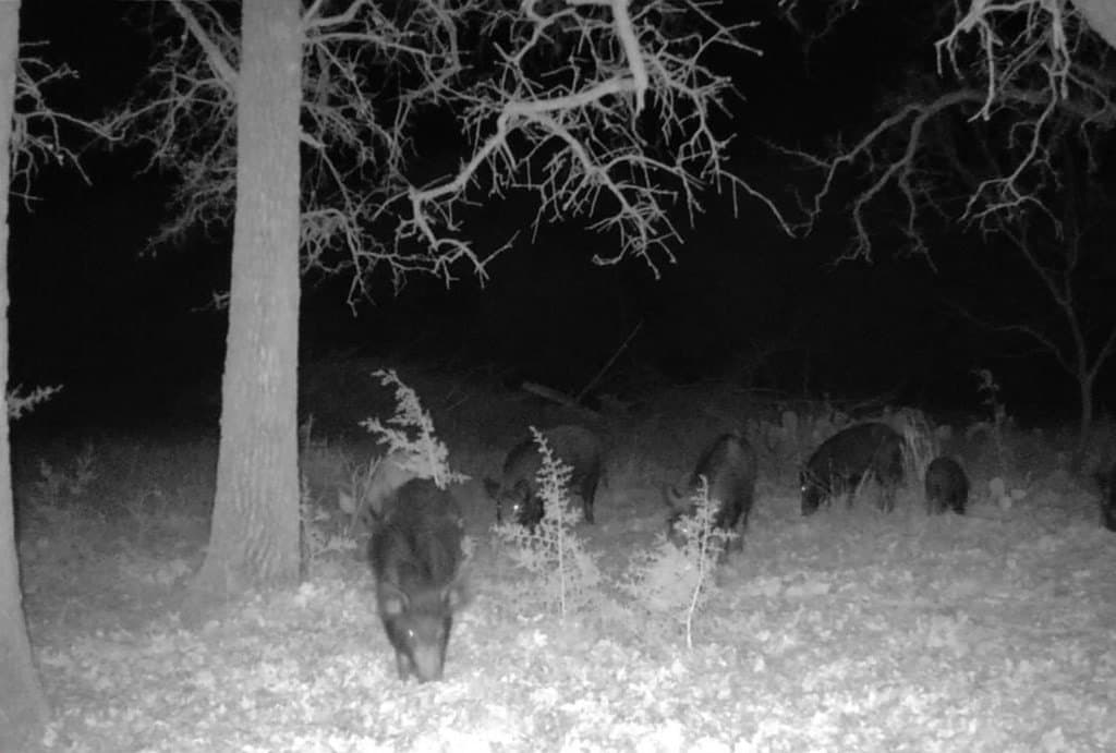 121 acres in Mills County - photo 31