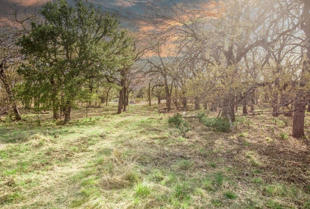 121 acres in Mills County - photo 2